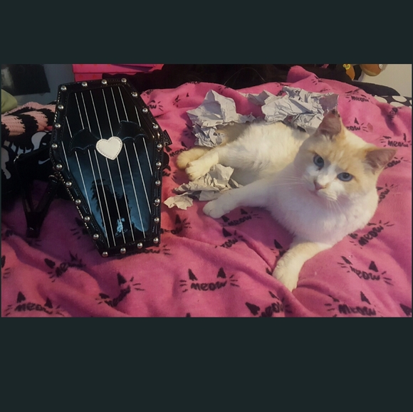 Handbags - Kawaii Coffin Purse Killstar Hot Topic Sourpuss